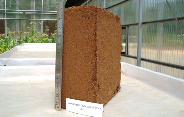 Compressed cocopeat bales - SV Corexports