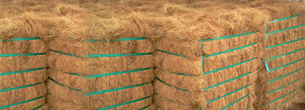 Compressed cocopeat bales - SV Corexports