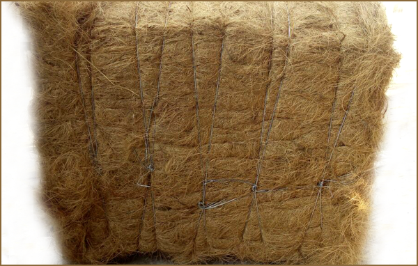 Compressed cocopeat bales - SV Corexports