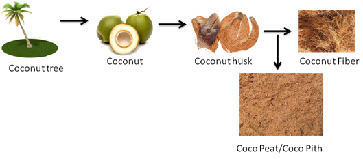 What is Cocopeat